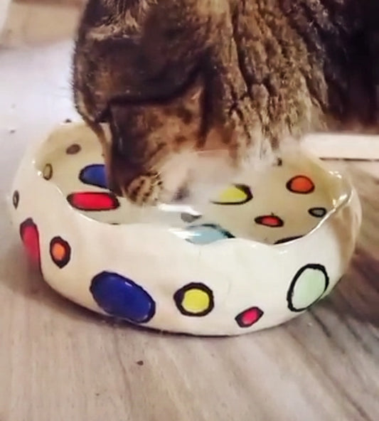 Pottery Pet Bowl Workshop Saturday the 6th of September 3PM-5PM
